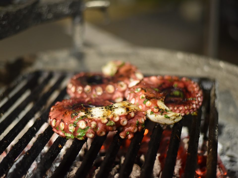 Octopus grilling over open flame